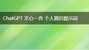  个人简历提示词